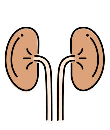 Renal dysfunction